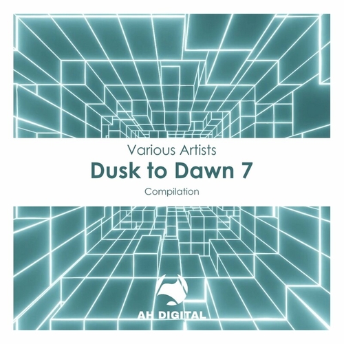 VA - Dusk to Dawn 7 [AHD256]